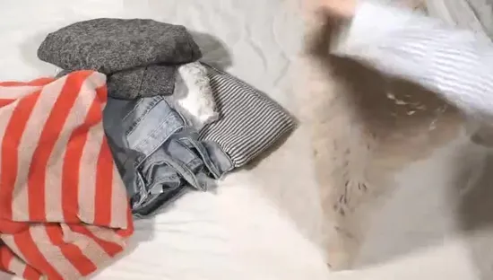 튼튼한 침구 담요 주최자 접이식 보관 상자 이불 대형 캔버스 가방 세탁 주머니 투명 지퍼 의류 보관 가방 여성 속옷 브래지어 가방